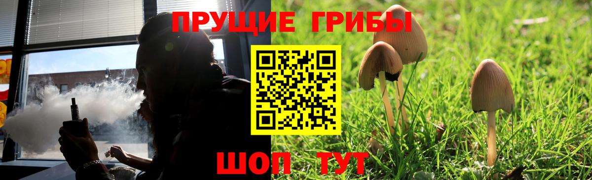 Зерноград  Галлюциногенные грибы мицелий  Вход с VPN 