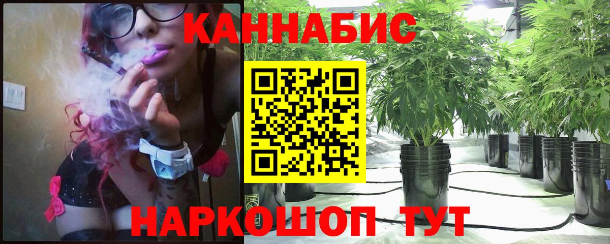 Бошки Шишки THC 21%  Вход с VPN  Марихуана THC 21%  Зерноград 
